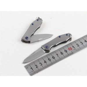 D2 Steel Blade Titanium Handle Titanium Finish Liner Lock Pocket Knife Folding Blade Knife5826